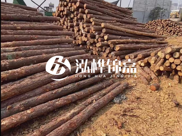河道木樁施工遇到淤泥怎么辦？打多深才能防沖刷？
