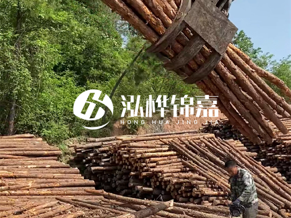 哪里能買到優(yōu)質 3 米松木樁？長沙有松木樁批發(fā)工廠嗎？