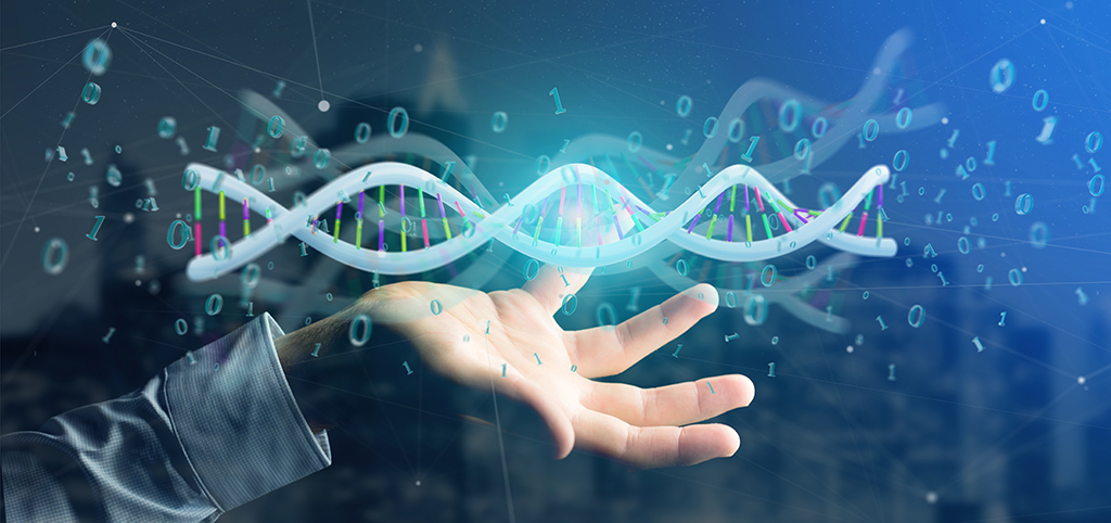 香港離岸公司審計費用的重要性，如何降低費用