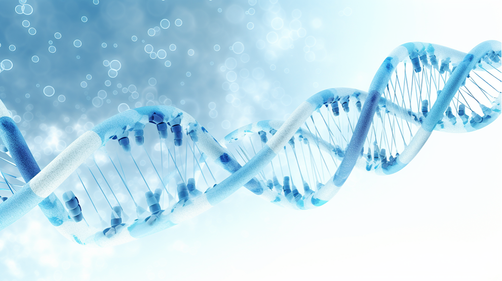 香港BVI公司年審指南：確保合規(guī)與順利運營的關(guān)鍵步驟